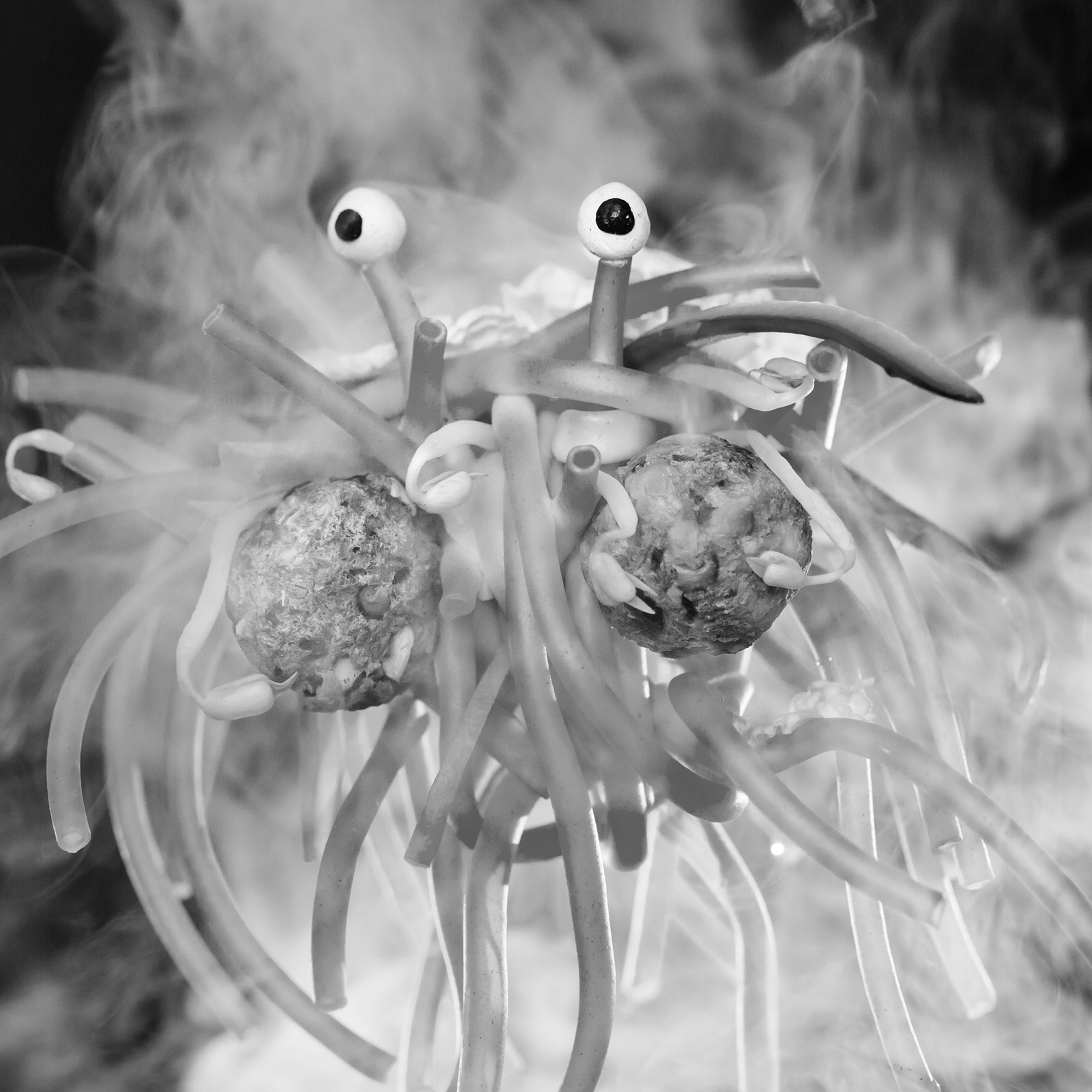 The Church of the Flying Spaghetti Monster - News Article | Atollon - a design company