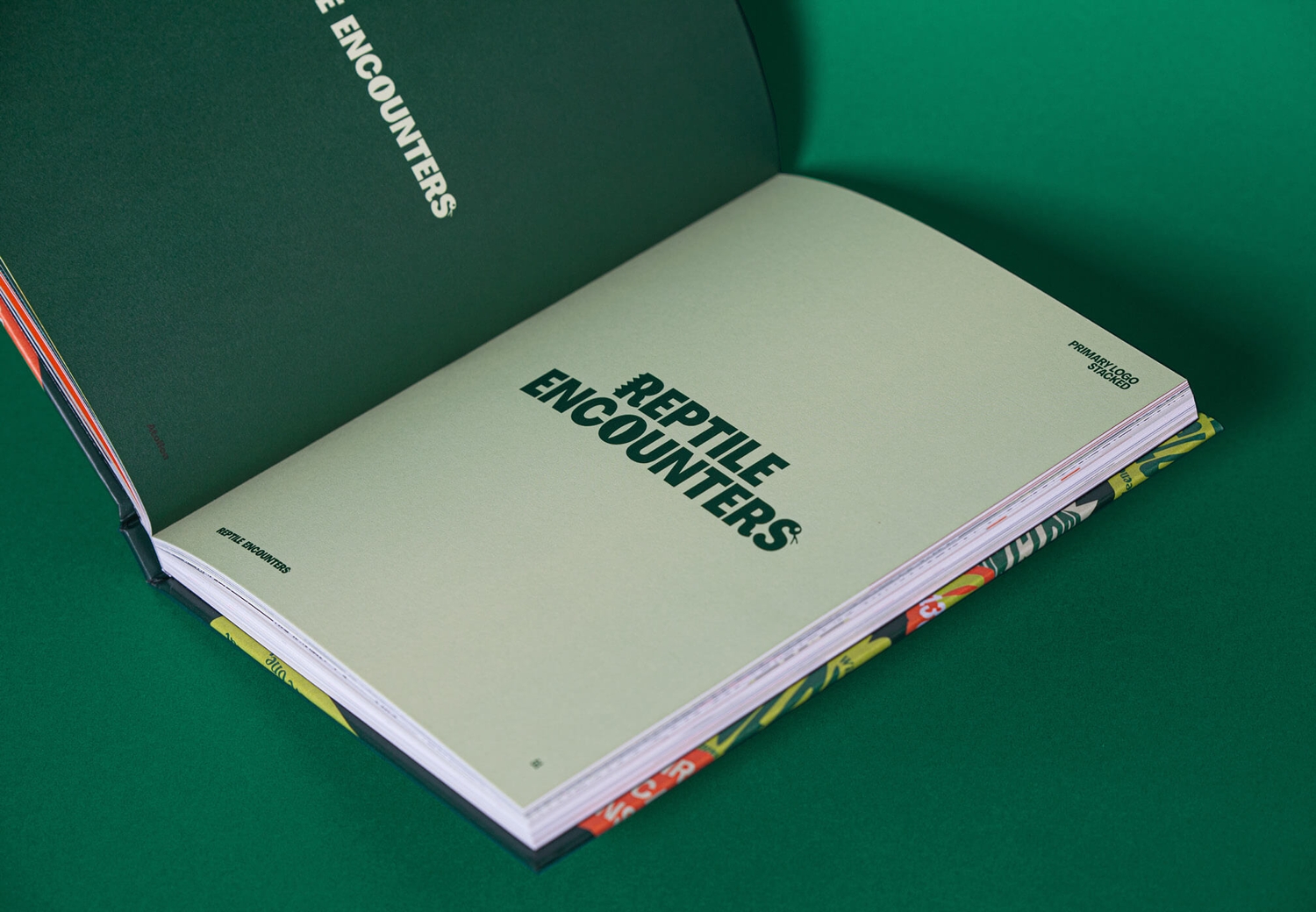 Reptile Encounters - Brandbook Internal Spread Logo | Atollon - a design company