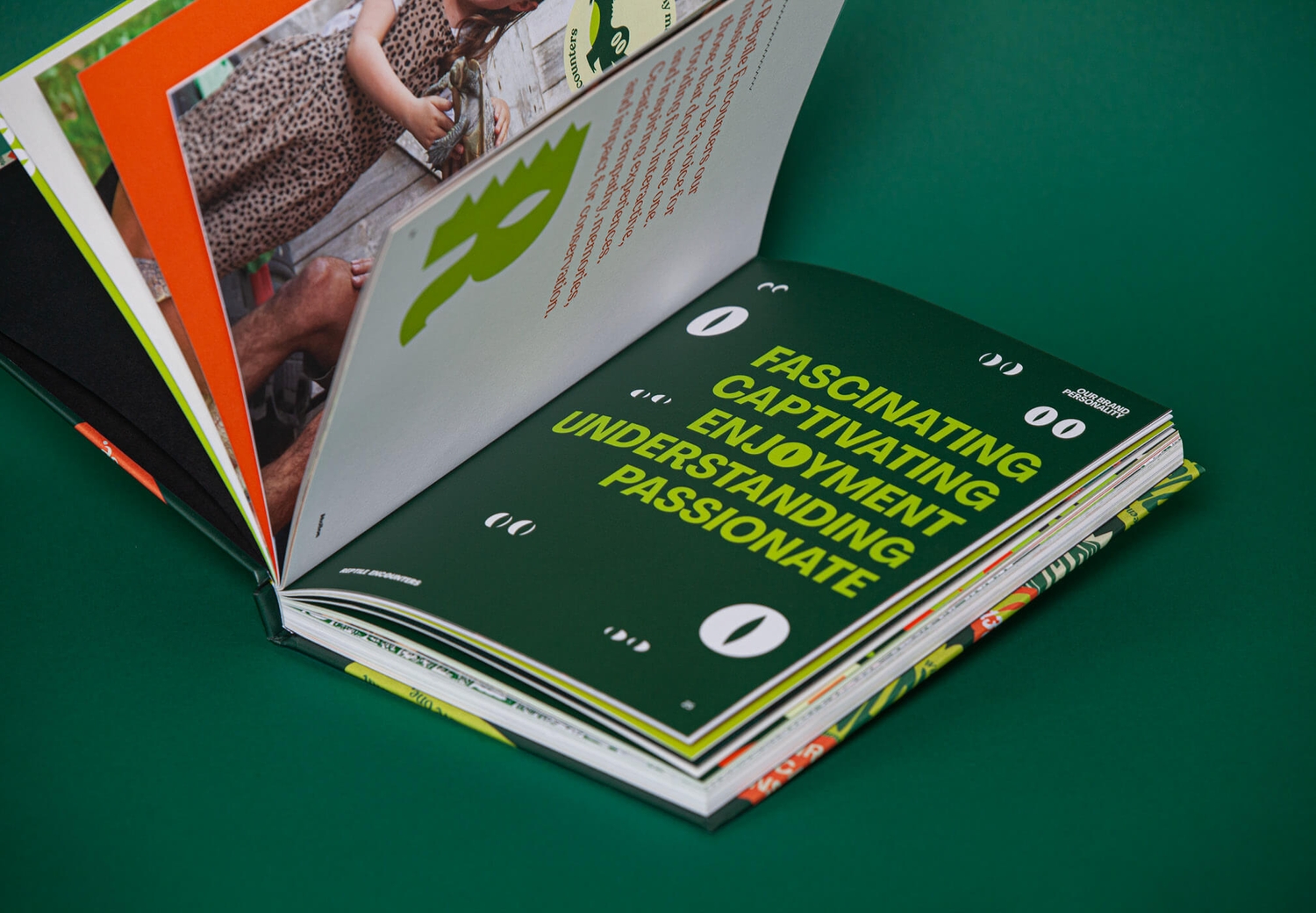 Reptile Encounters - Brandbook Internal Spread | Atollon - a design company